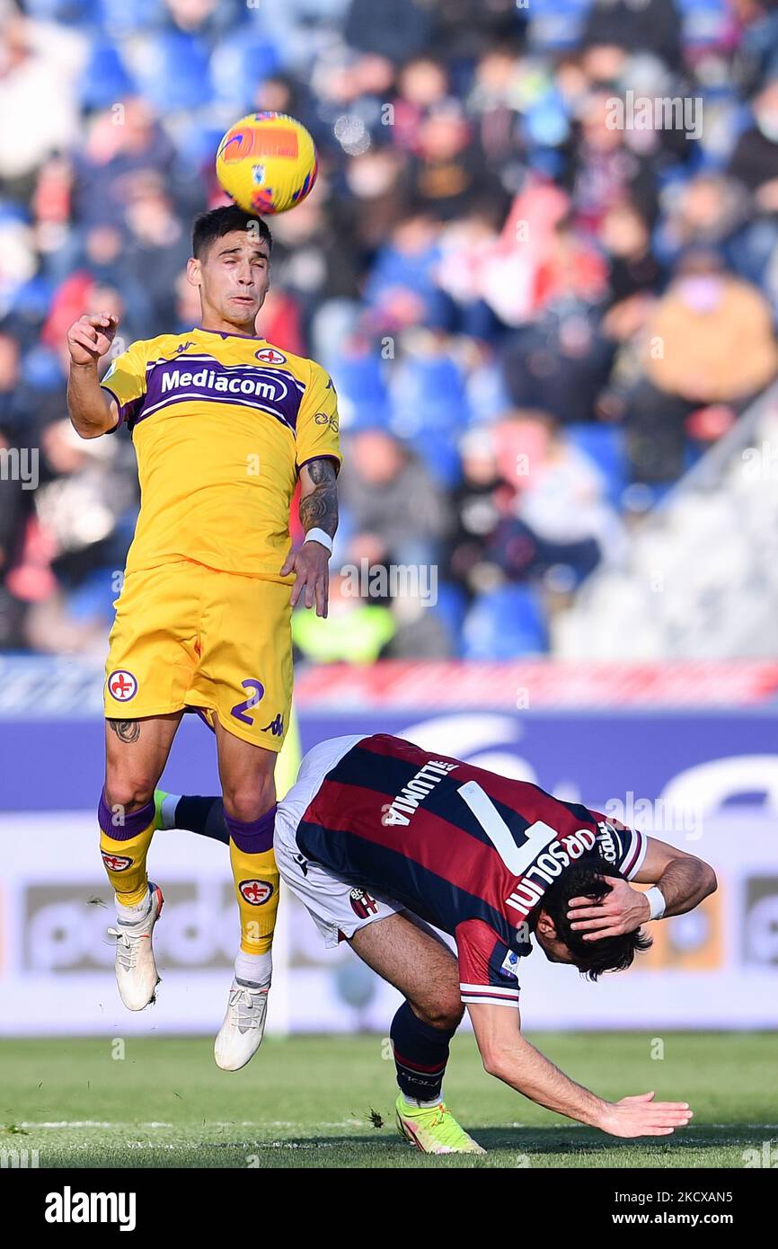 Italian Soccer Serie a Match - Bologna FC Vs ACF Fiorentina