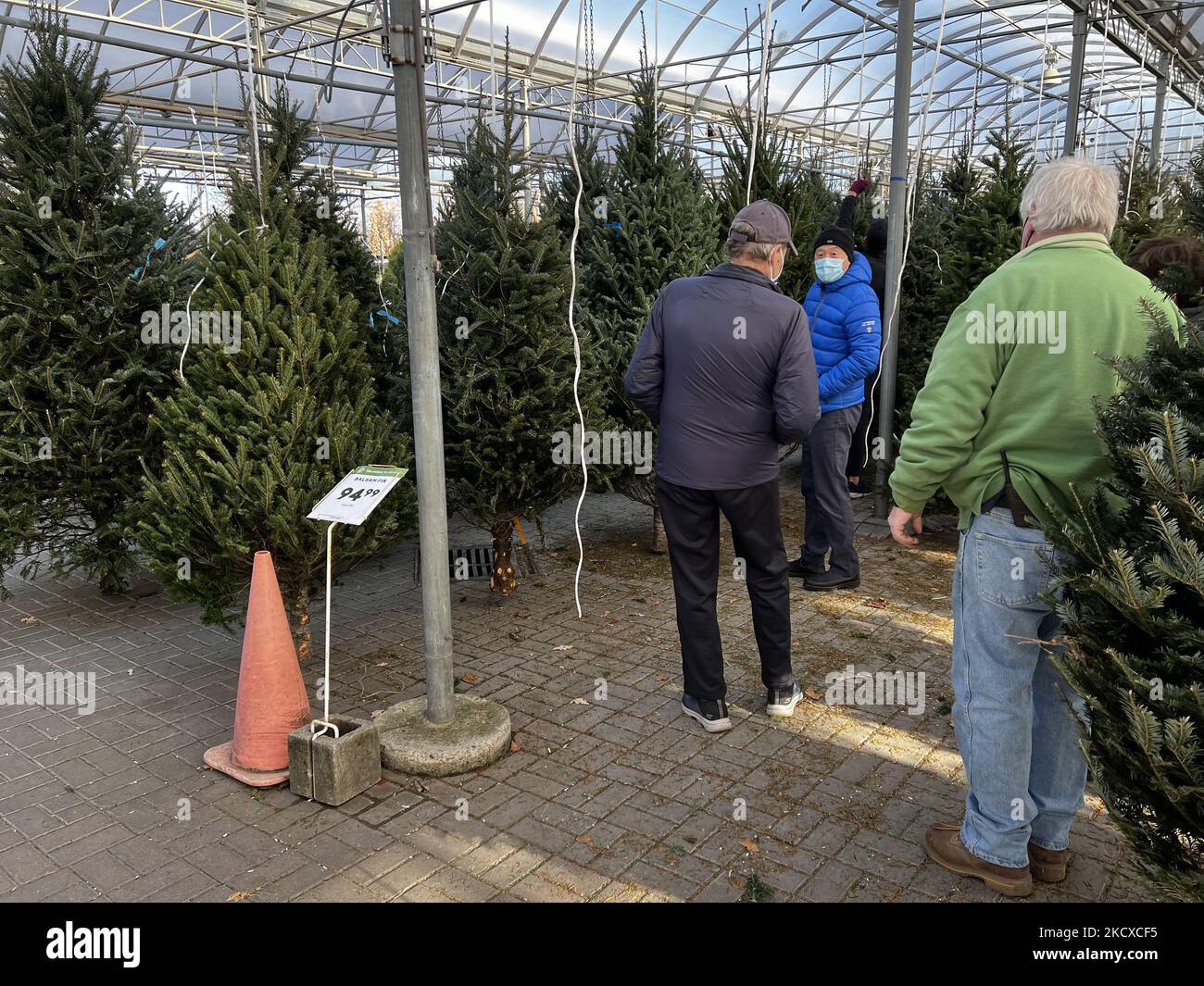 Tree shortage hires stock photography and images Alamy