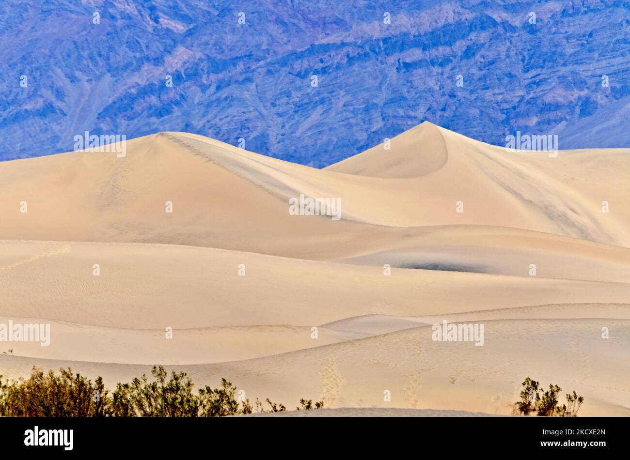 Highway of death desert storm hi-res stock photography and images - Alamy