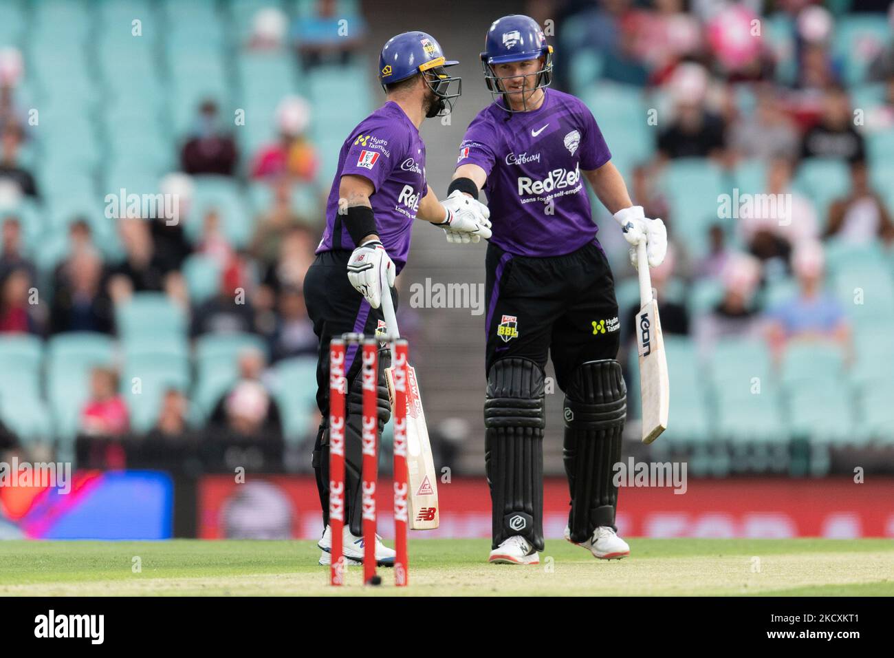 Hobart hurricanes hi-res stock photography and images - Alamy