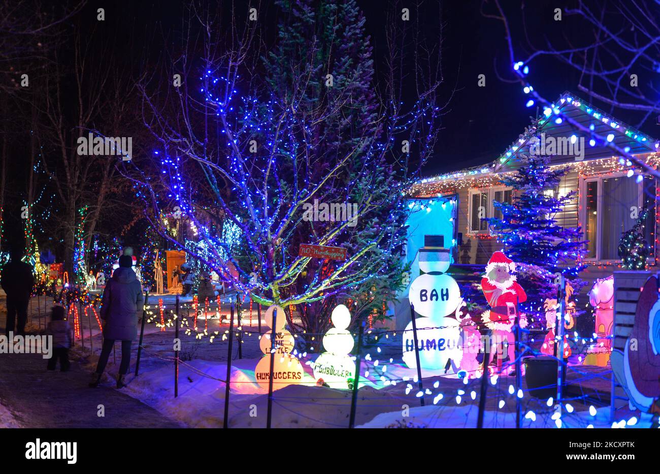 Houses covered in Christmas lights and decorations in Candy Cane Lane