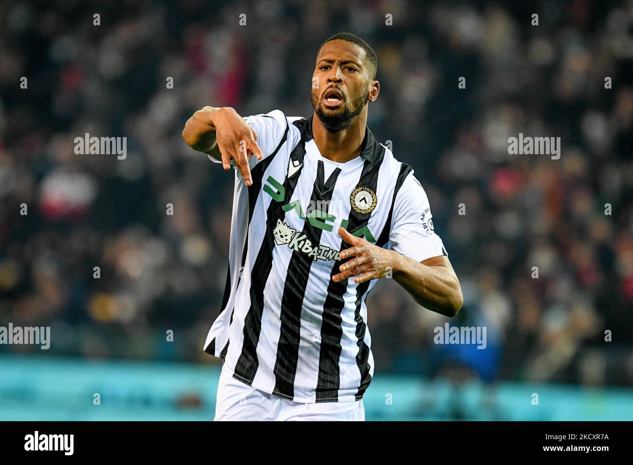 Udinese's Norberto Bercique Gomes Betuncal portrait celebrating during the italian soccer Serie A match Udinese Calcio vs AC Milan on December 11, 2021 at the Friuli - Dacia Arena stadium in Udine, Italy (Photo by Ettore Griffoni/LiveMedia/NurPhoto) Stock Photo