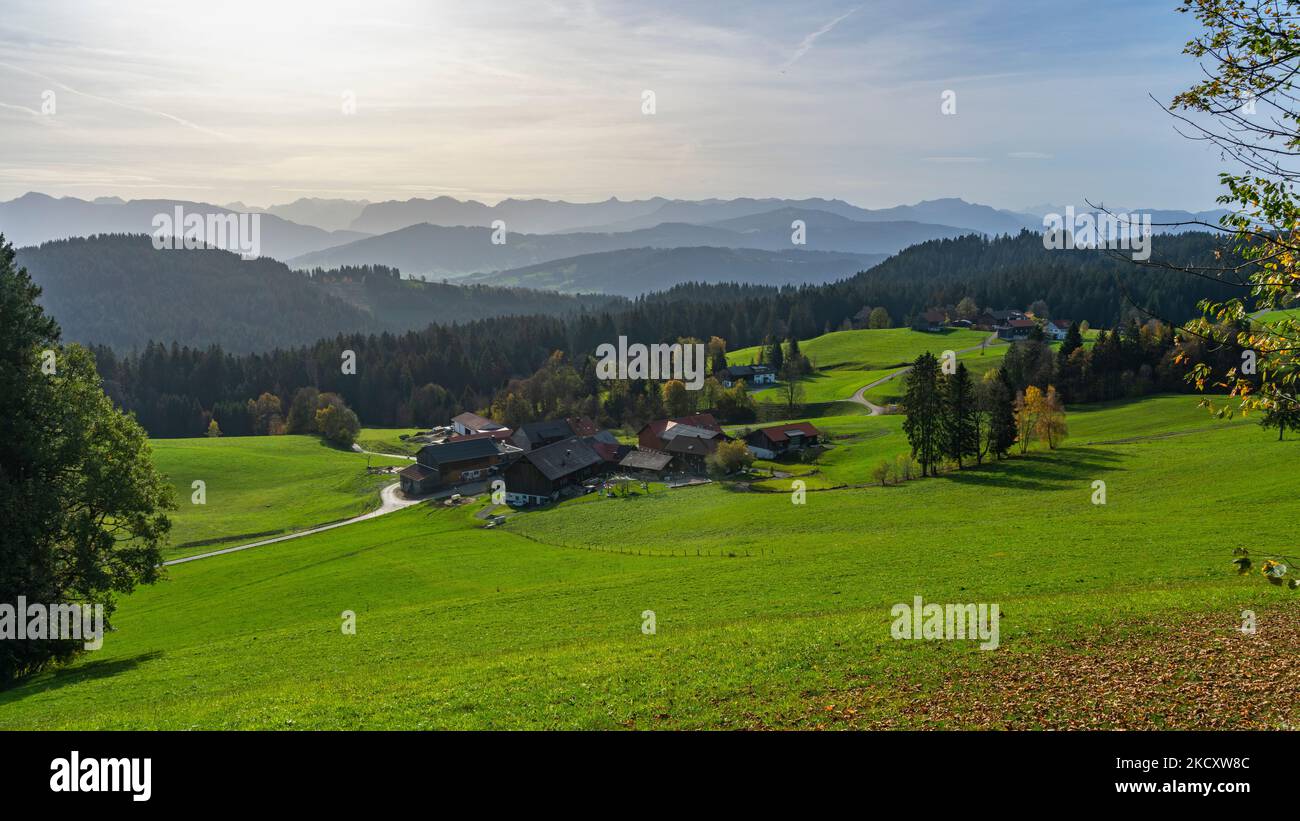Herbstlicher Panoramablick über den Bregenzerwald mit Kühen auf der Weide, Bauernhäusern und buntem Laub auf grünen Wiesen, Wälder und Berge Stock Photo