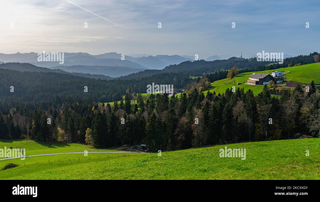 Herbstlicher Panoramablick über den Bregenzerwald mit Kühen auf der Weide, Bauernhäusern und buntem Laub auf grünen Wiesen, Wälder und Berge Stock Photo