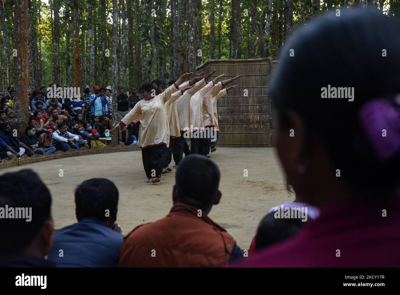 Under the sal tree hi-res stock photography and images - Alamy