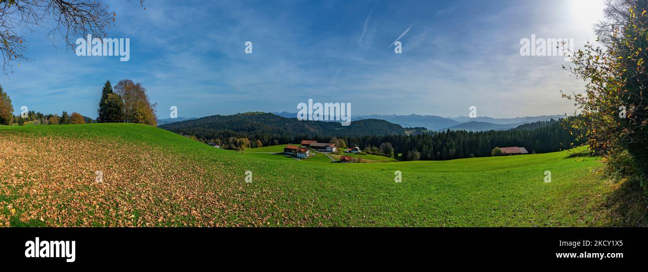 Herbstlicher Panoramablick über den Bregenzerwald mit Kühen auf der Weide, Bauernhäusern und buntem Laub auf grünen Wiesen, Wälder und Berge Stock Photo