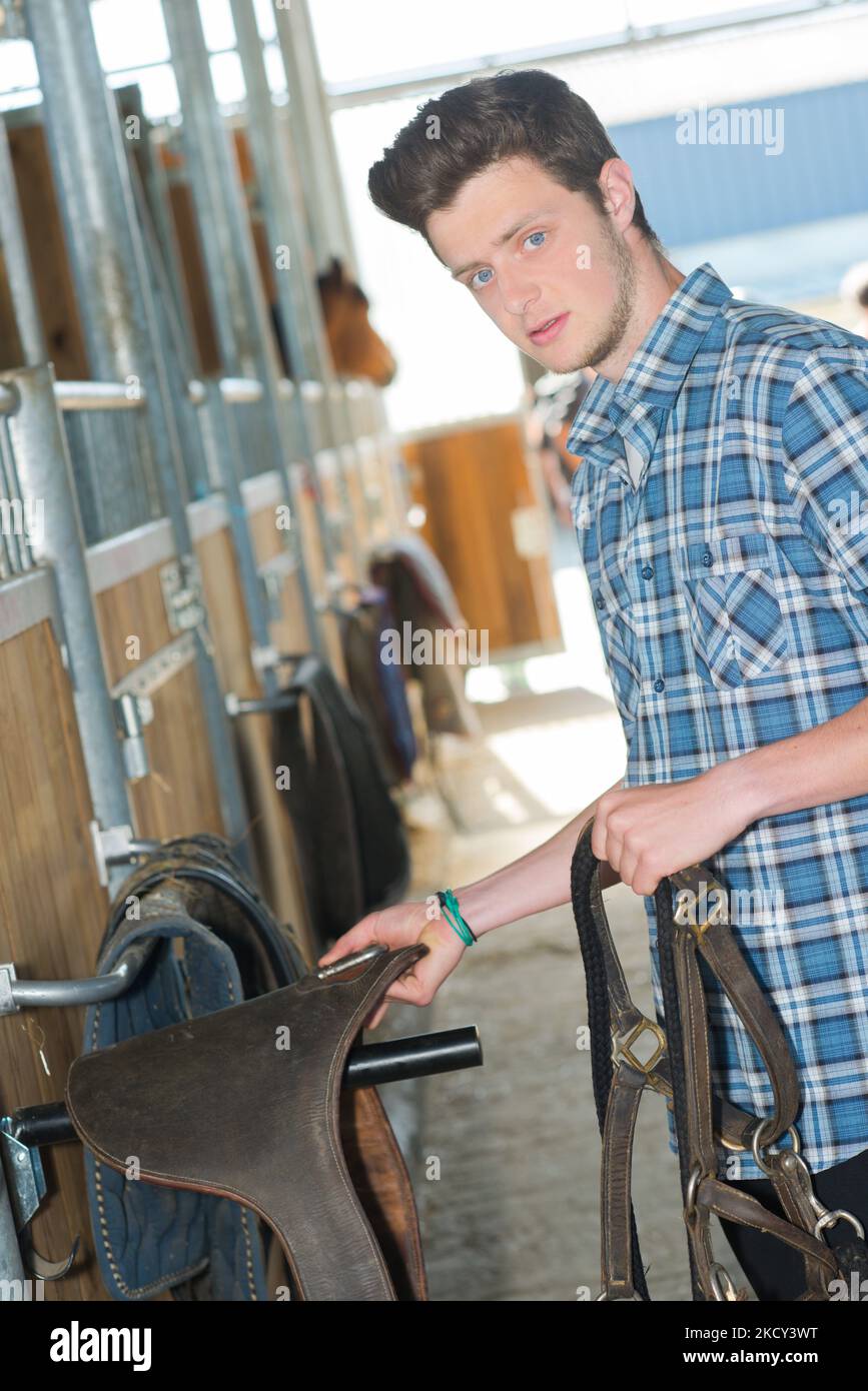 a stable boy taking care of his horse Stock Photo Alamy