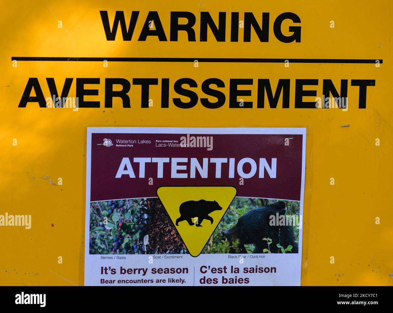 Bear warning sign near Cameron Lake inside Waterton Lakes National Park