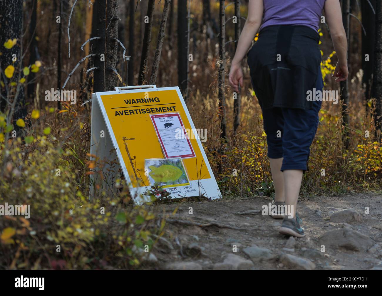 Bear warning sign near Cameron Lake inside Waterton Lakes National Park