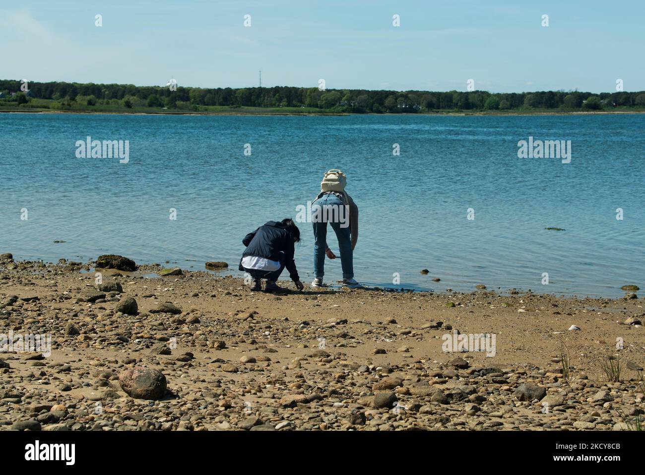 two women looking at shells and rocks at the waters edge in edgartown massachusetts on Martha's Vineyard. Stock Photo