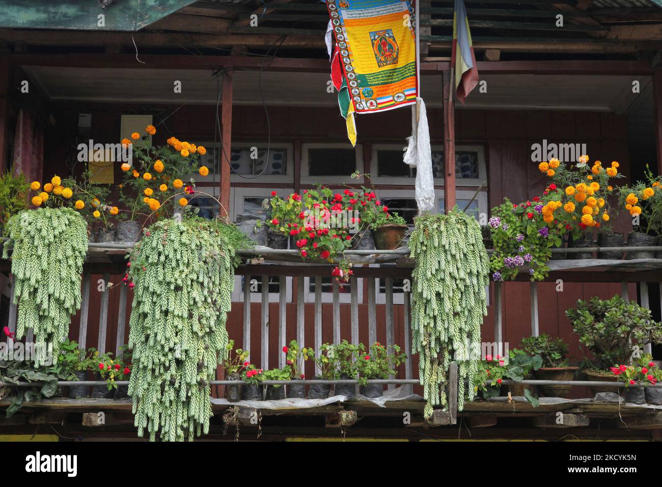 Dozens of flowering plants rest on ledges along the second floor of a