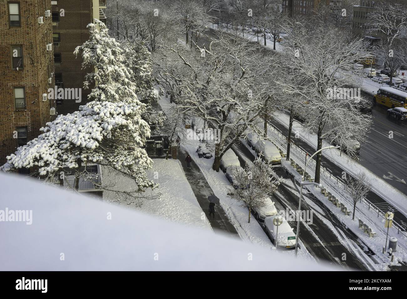 New York City dawned Friday, January 07, 2022 covered in snow after the ...