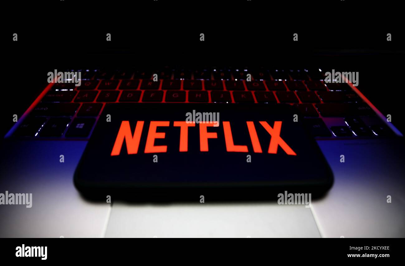 Netflix logo on computer monitor, Netflix-Logo auf Computermonitor