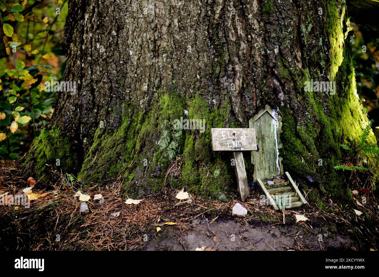 Hidden fairy houses and doors in woodland Brodick Gardens, Isle of