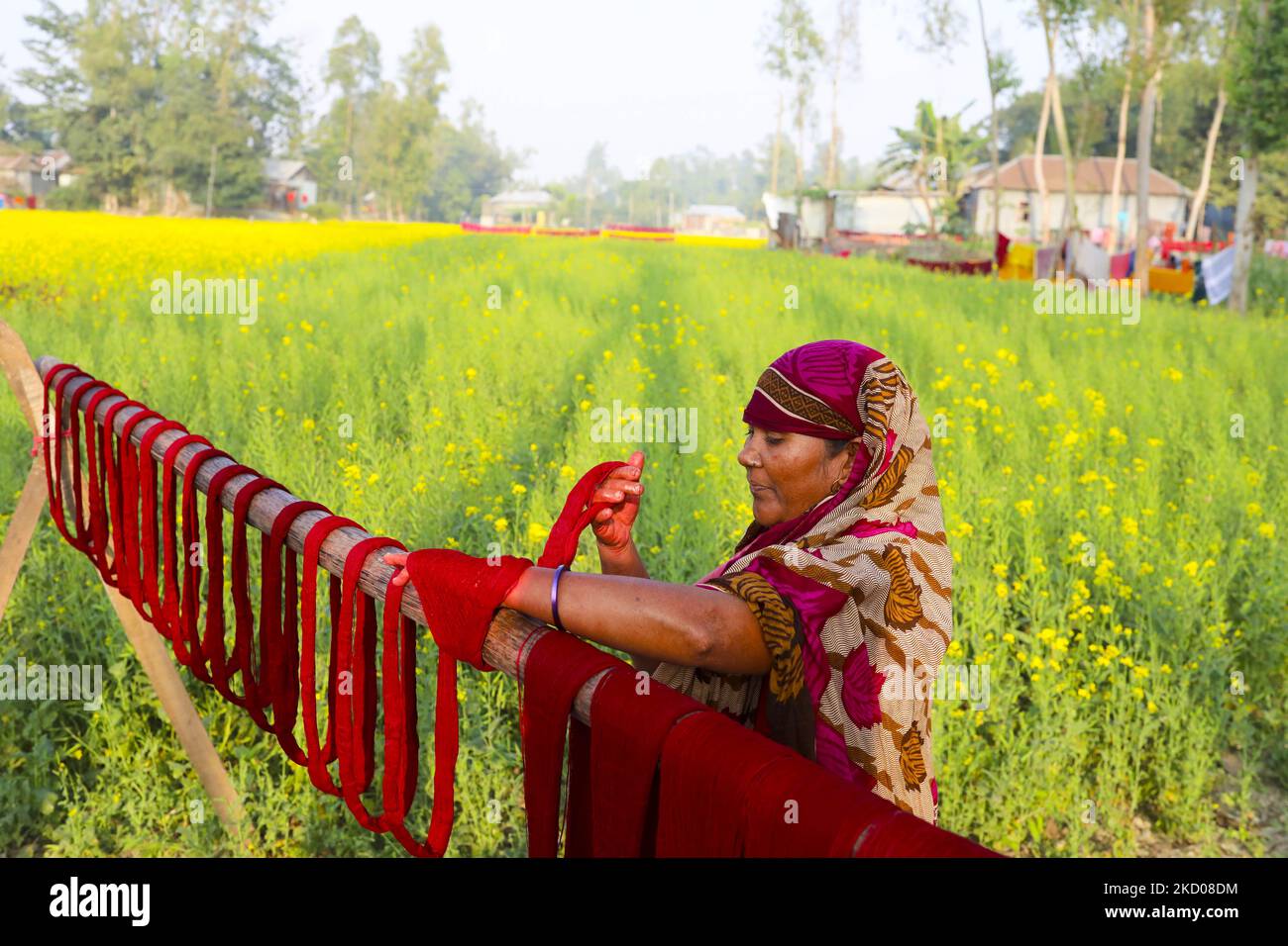 Colourful yarn can be seen hung up to dry in Sirajganj, Bangladesh on 05 January 2022. The yarn is used to make towels and can be seen around the houses of local craftspeople after they mix the dye. (Photo by Kazi Salahuddin Razu/NurPhoto) Stock Photo