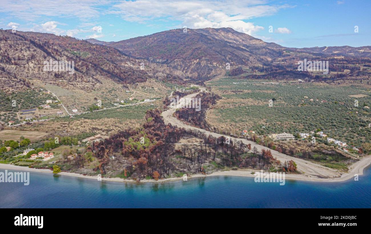 Panoramic aerial view of the burnt beach reaching the forest in 