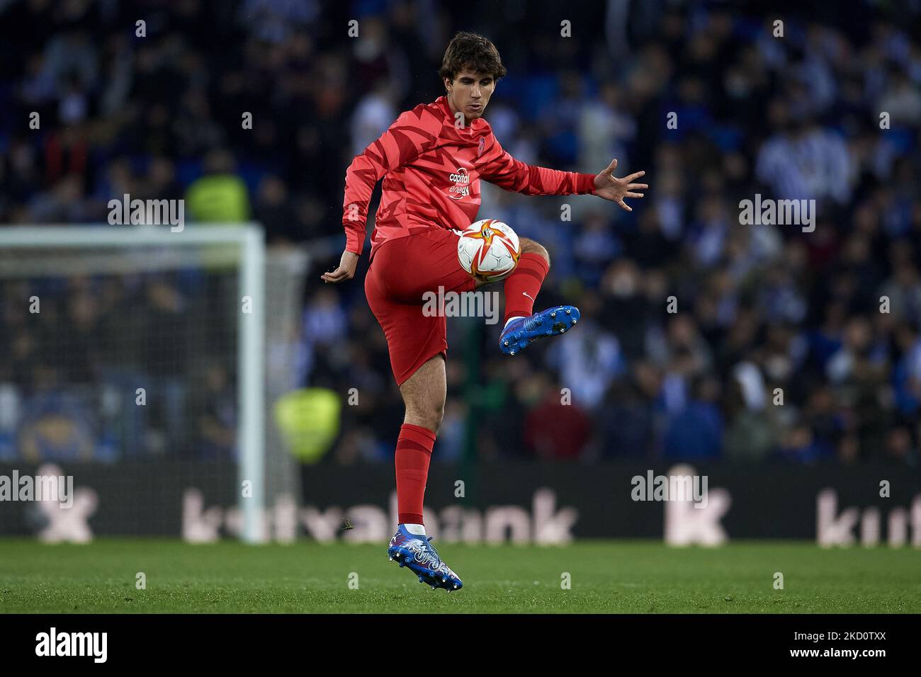 Manuel lama (92) 사진