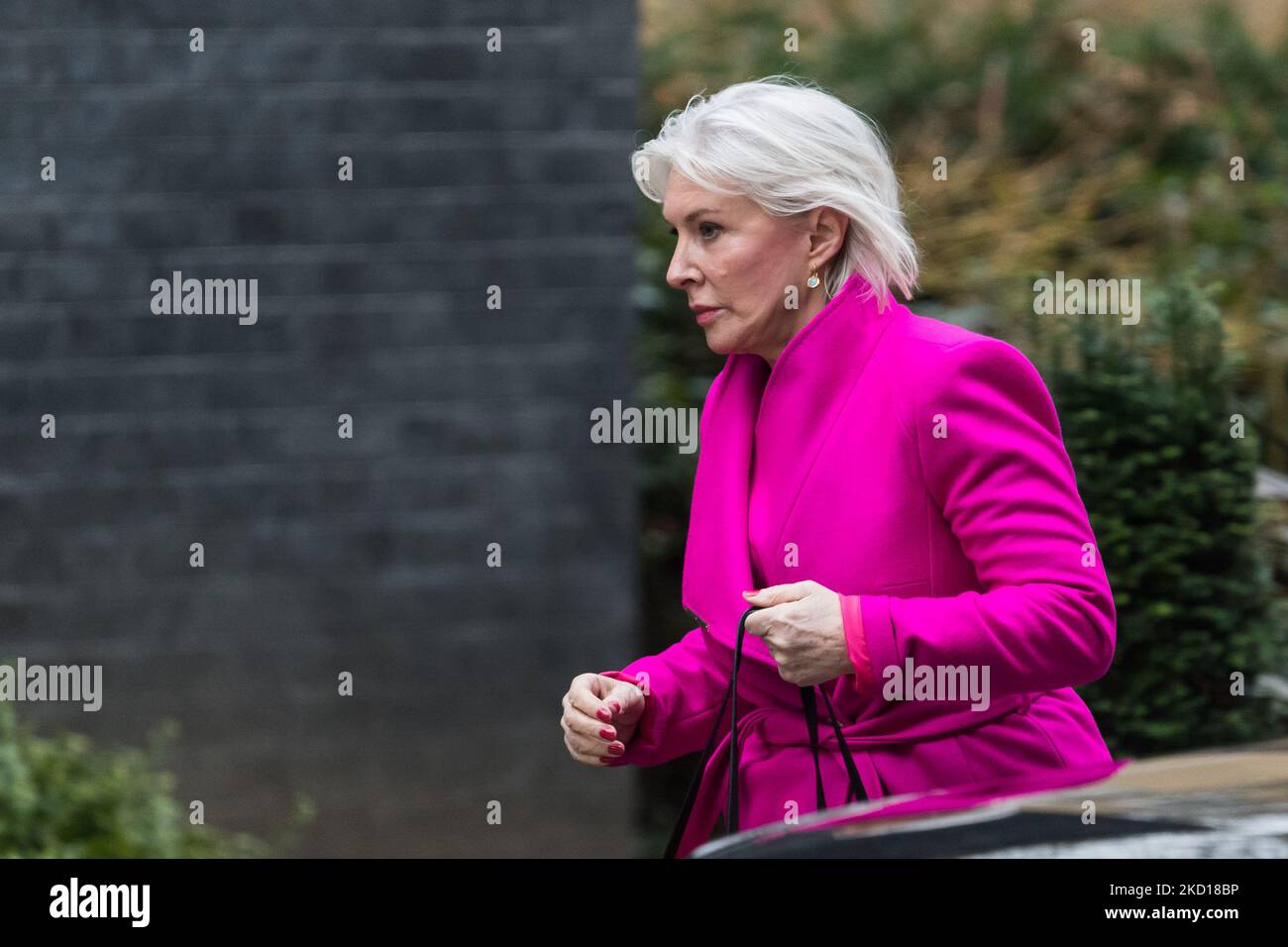 LONDON, UNITED KINGDOM - JANUARY 25, 2022: Secretary of State for Digital, Culture, Media and Sport Nadine Dorries arrives in Downing Street in central London to attend Cabinet meeting on January 25, 2022 in London, England. Senior civil servant Sue Gray is currently conducting an investigation into several alleged lockdown rule-breaking parties in Downing Street, during the time when strict Covid-19 restrictions were in place. (Photo by WIktor Szymanowicz/NurPhoto) Stock Photo
