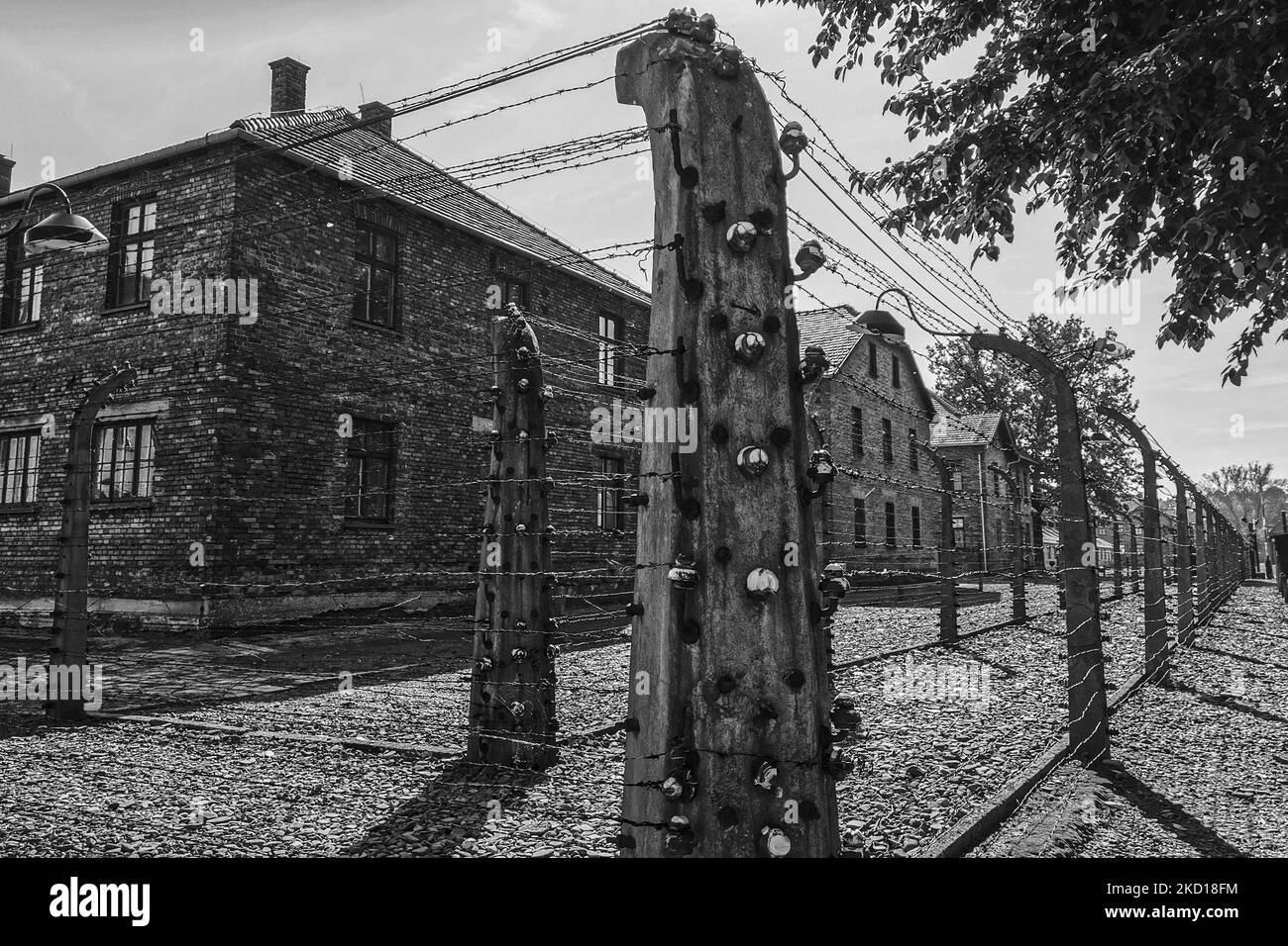 Barb wired fences and builings at the former Nazi German Auschwitz I concentration camp at Auschwitz Memorial Site. Oswiecim, Poland on October 4, 2021. (Photo by Beata Zawrzel/NurPhoto) Stock Photo