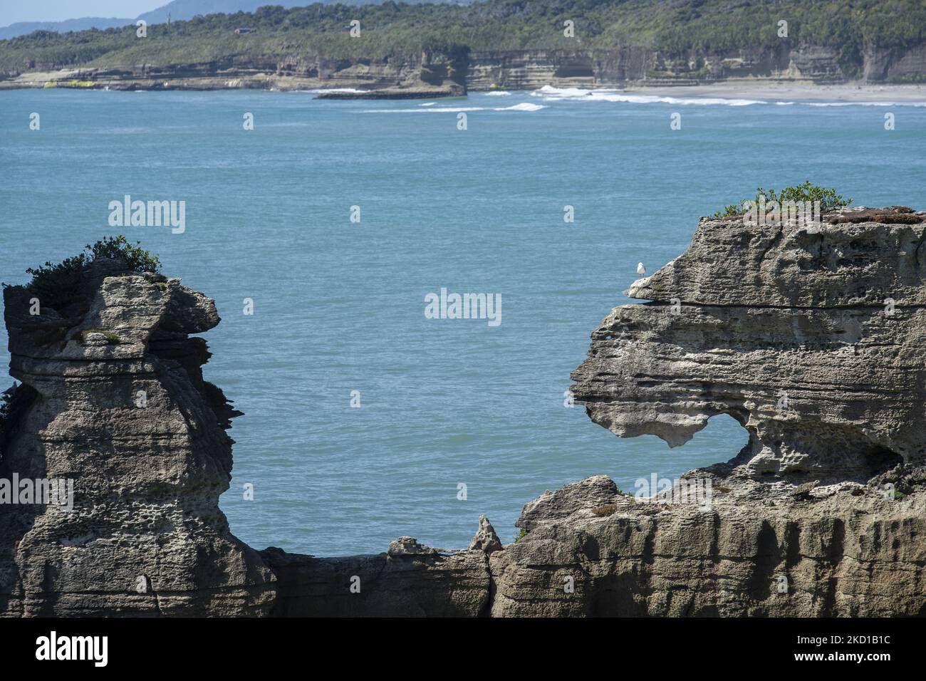 Pancake Rocks Geological Process Pancake Rocks, a geological formation at Paparoa National Park in ...