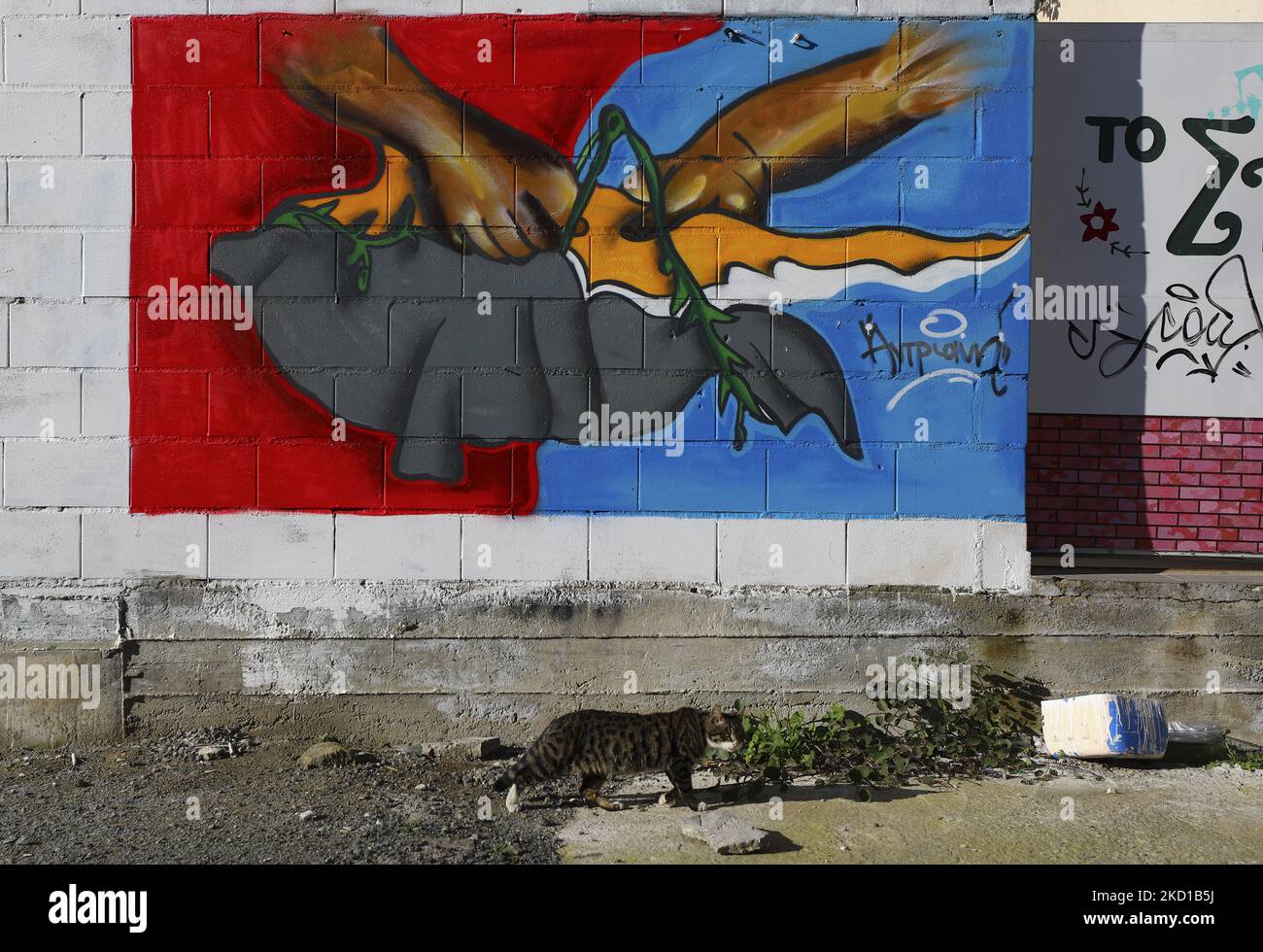 A cat walks past graffiti depicting hands sewing together Cyprus, divided into two parts. Limassol, Cyprus, Thursday, January 27, 2022. Interior Minister of the Republic of Cyprus Nikos Nouris said that the Green Line, although it is not an external border of the EU, should be strengthened in order to stop the flow of illegal migrants. It's about a barbed wire fence. (Photo by Danil Shamkin/NurPhoto) Stock Photo