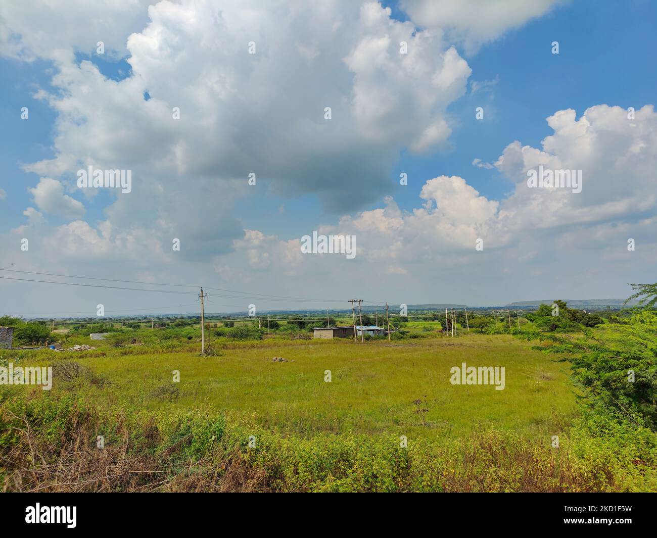 A farmland with fully grown crops and plants in Gulbarga, India Stock