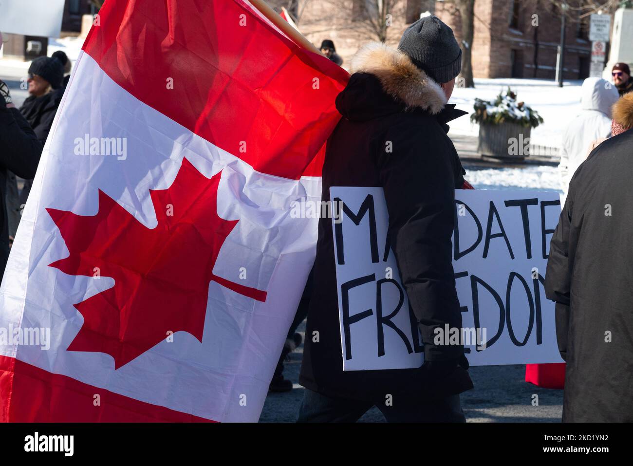 Demonstrators gather for a protest against Covid-19 vaccine mandates and restrictions in downtown Toronto, Canada, on February 5, 2022. Protesters again poured into Toronto and Ottawa early on February 5 to join a convoy of truckers whose occupation of Ottawa to denounce Covid vaccine mandates is now in its second week (Photo by Anatoliy Cherkasov/NurPhoto) Stock Photo