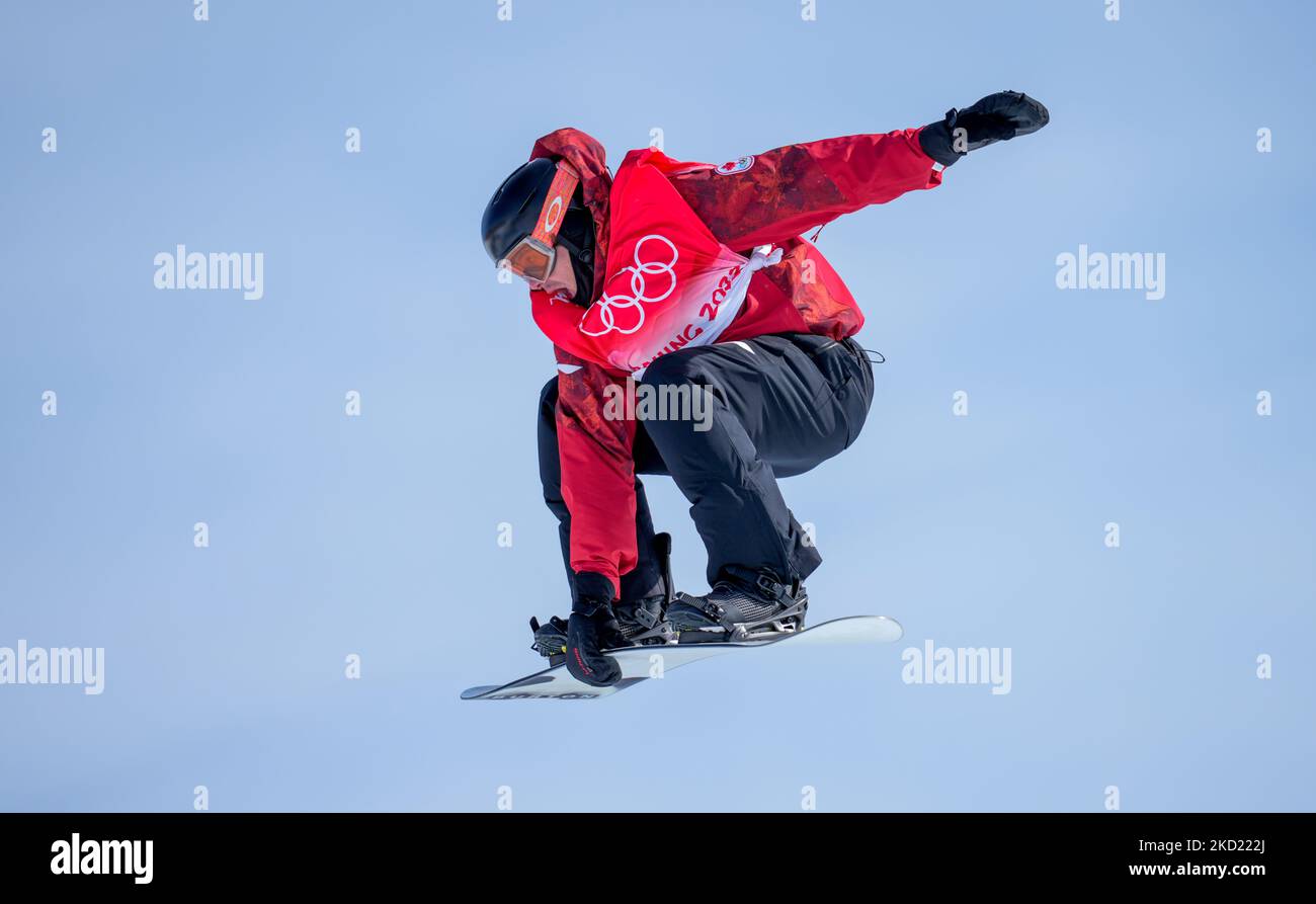 Maxtparrot phtos hires stock photography and images Alamy