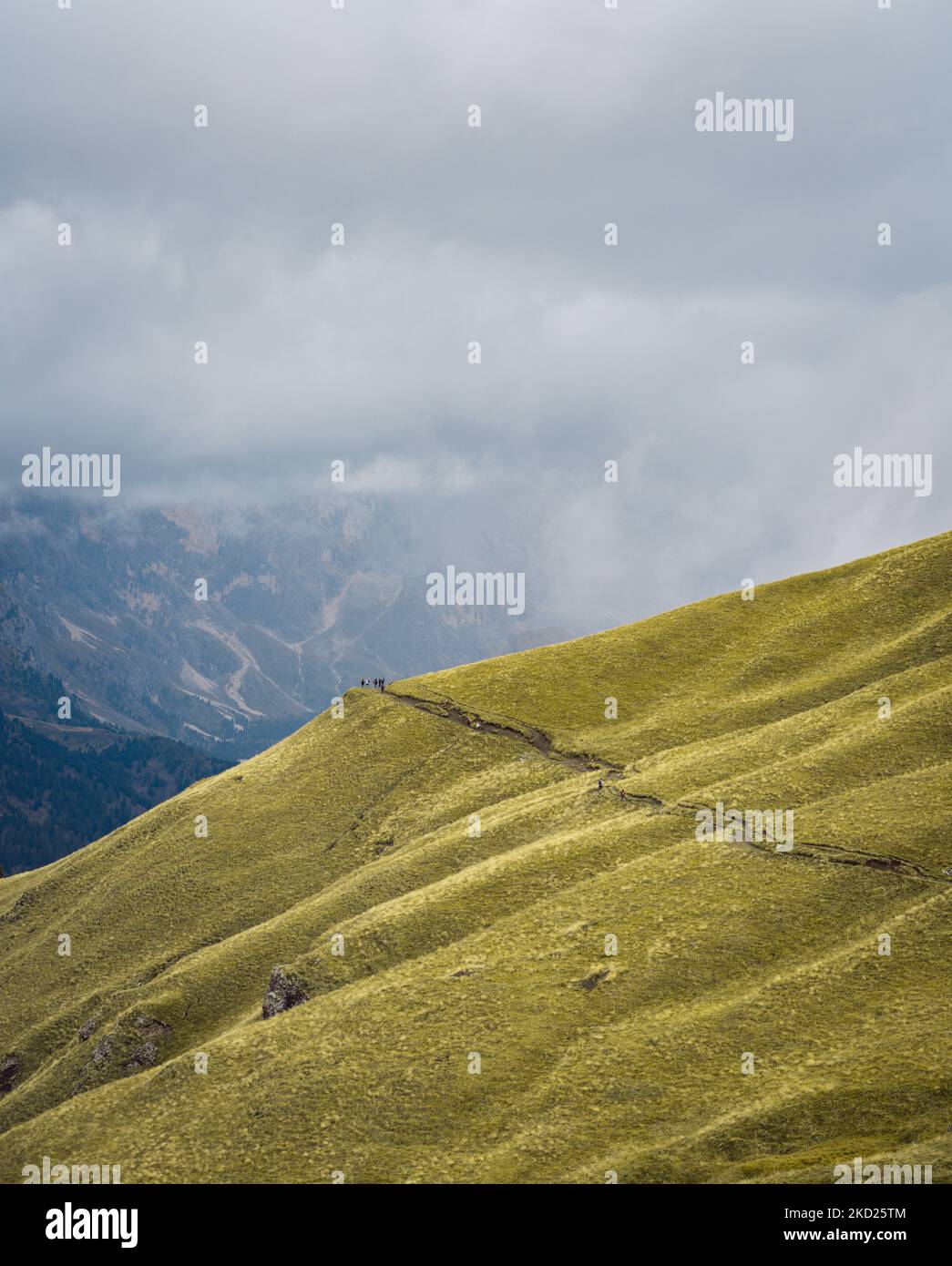A vertical shot of a green meadow hiking trail with a cloudy sky in the ...