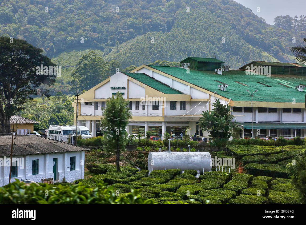 Mattupetty Tea Factory in Madupetty (Mattupetty), Idukki, Kerala, India