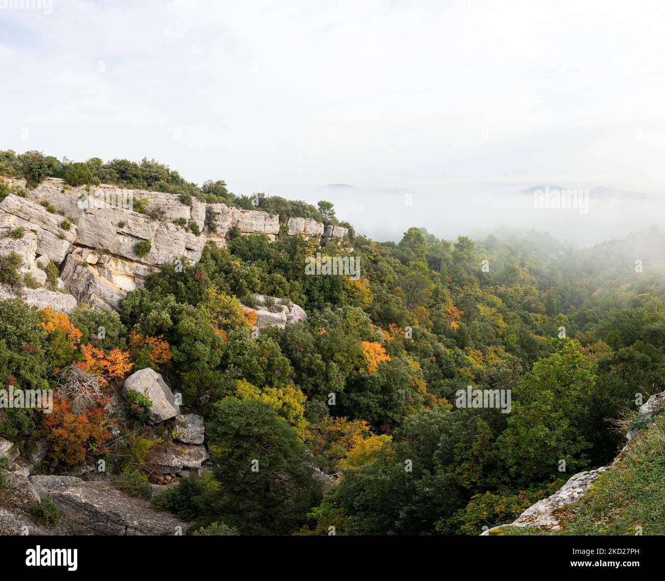 Foggy morning in Provence, South of France Stock Photo