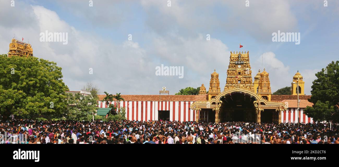 Huge crowd as Tamil Hindu devotees take part in the Ther Festival (Chariot Festival) at the Nallur Kandaswamy Kovil (Nallur Temple) in Jaffna, Sri Lanka, on August 21, 2017. Hundreds of thousands of Tamil Hindu devotees from across the globe attended this festival. (Photo by Creative Touch Imaging Ltd./NurPhoto) Stock Photo