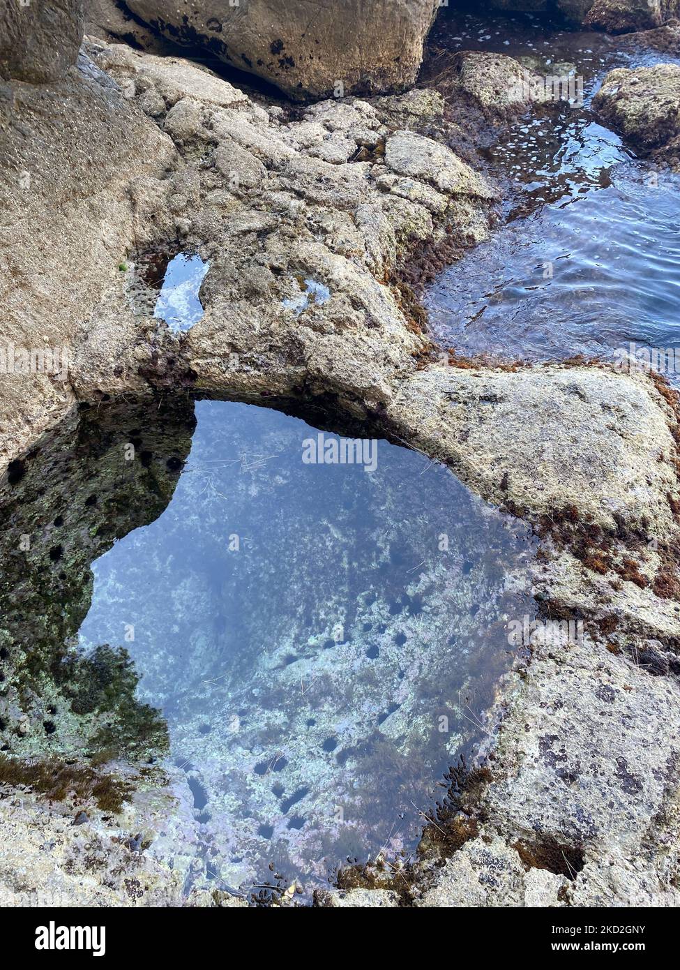 Puddles sea water on rocky hi-res stock photography and images - Alamy