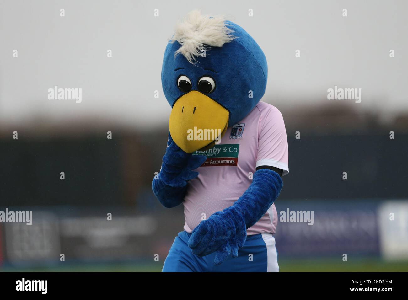 Bluey the Barrow mascot during the Sky Bet League 2 match between Barrow and Stevenage at the Holker Street, Barrow-in-Furness on Saturday 12th February 2022. (Photo by Mark Fletcher/MI News/NurPhoto) Stock Photo