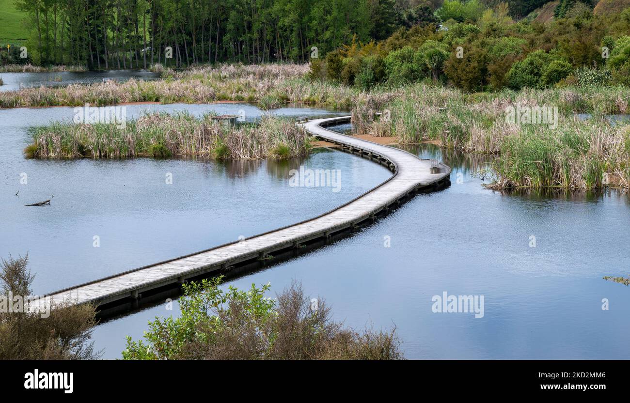 pekapeka wetland in Hawkes Bay in New Zealand with timber walkway and