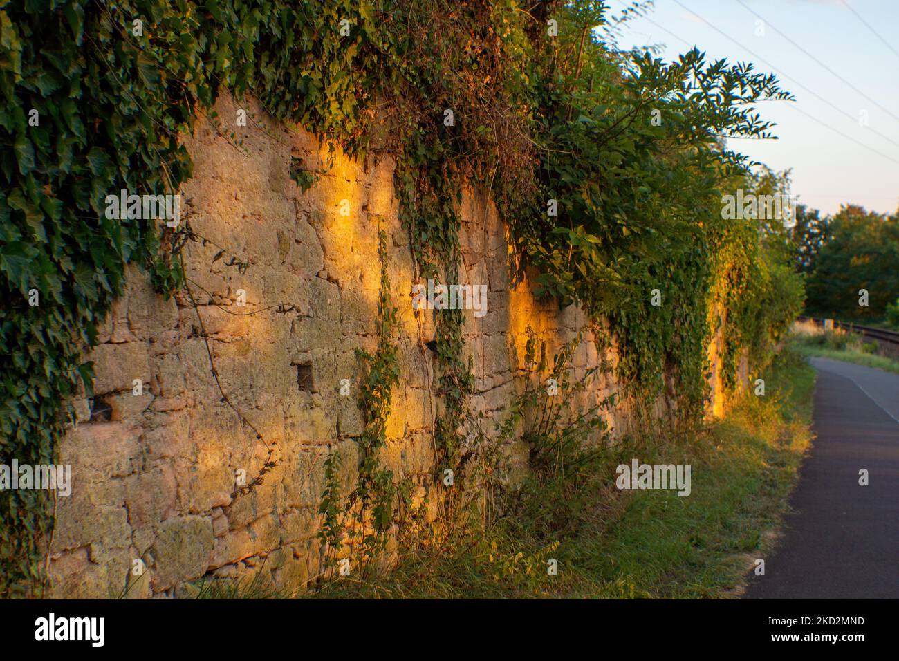 Vertical shot road covered hi-res stock photography and images - Alamy