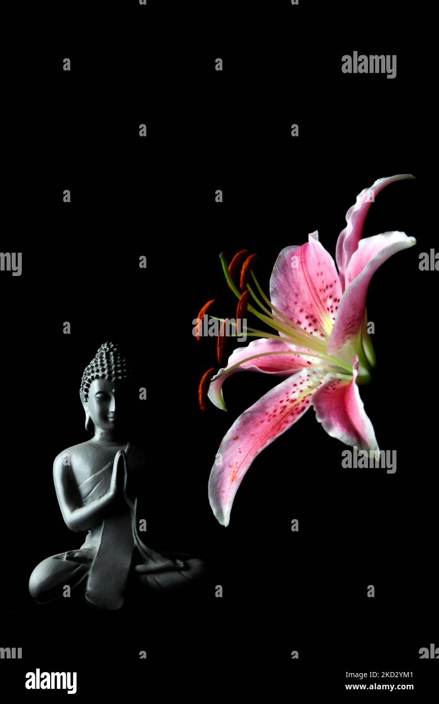 Studio Photograph of Oriental Pink Lily  and Buddha Stock Photo