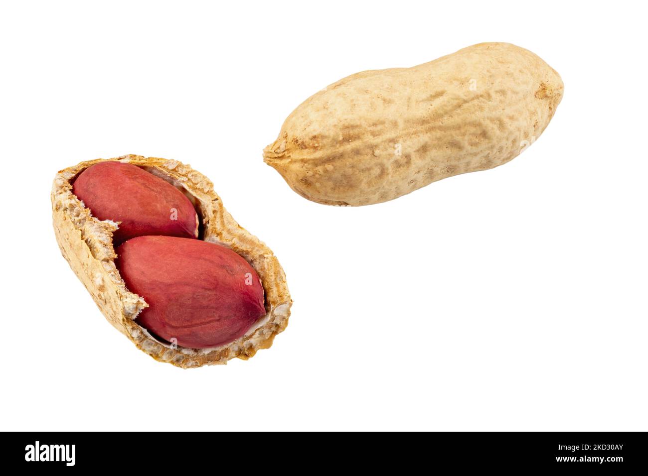 Group of peanuts isolated on white background. File contains clipping