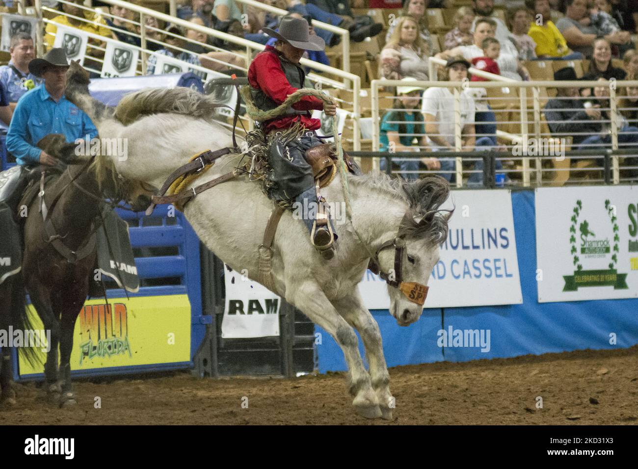 Best horse rider hi-res stock photography and images - Alamy