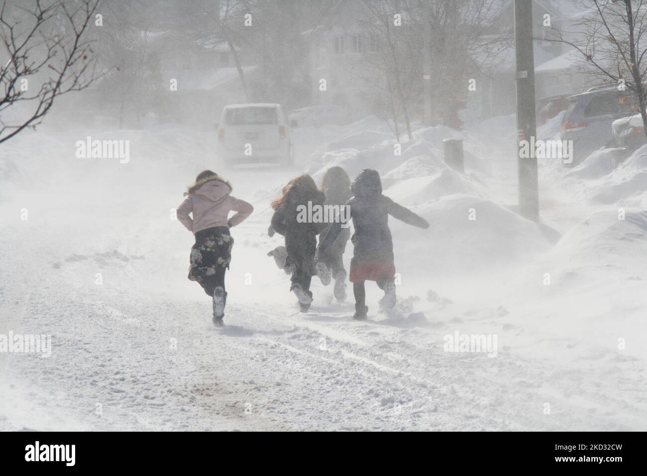 Strong wind blowing snow on hi-res stock photography and images - Alamy