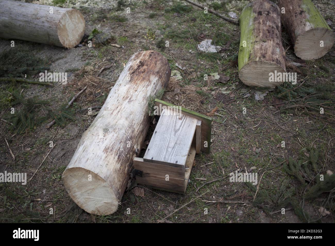 Effects of the Eunice hurricane seen in Warsaw on February 19, 2022. (Photo by Maciej Luczniewski/NurPhoto) Stock Photo