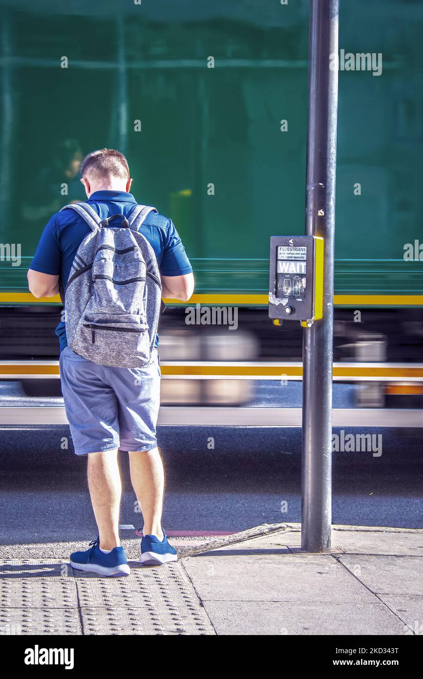 Young Man With Backpack Looking At Phone Standing By Pedestrain 