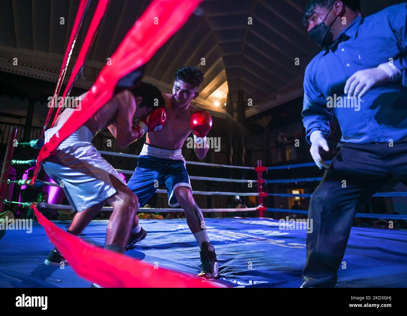 Boxing Action Shots