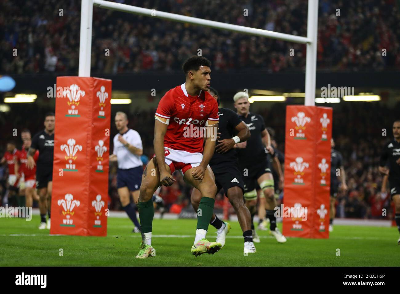 Cardiff, UK. 05th Nov, 2022. Rio Dyer of Wales celebrates after he