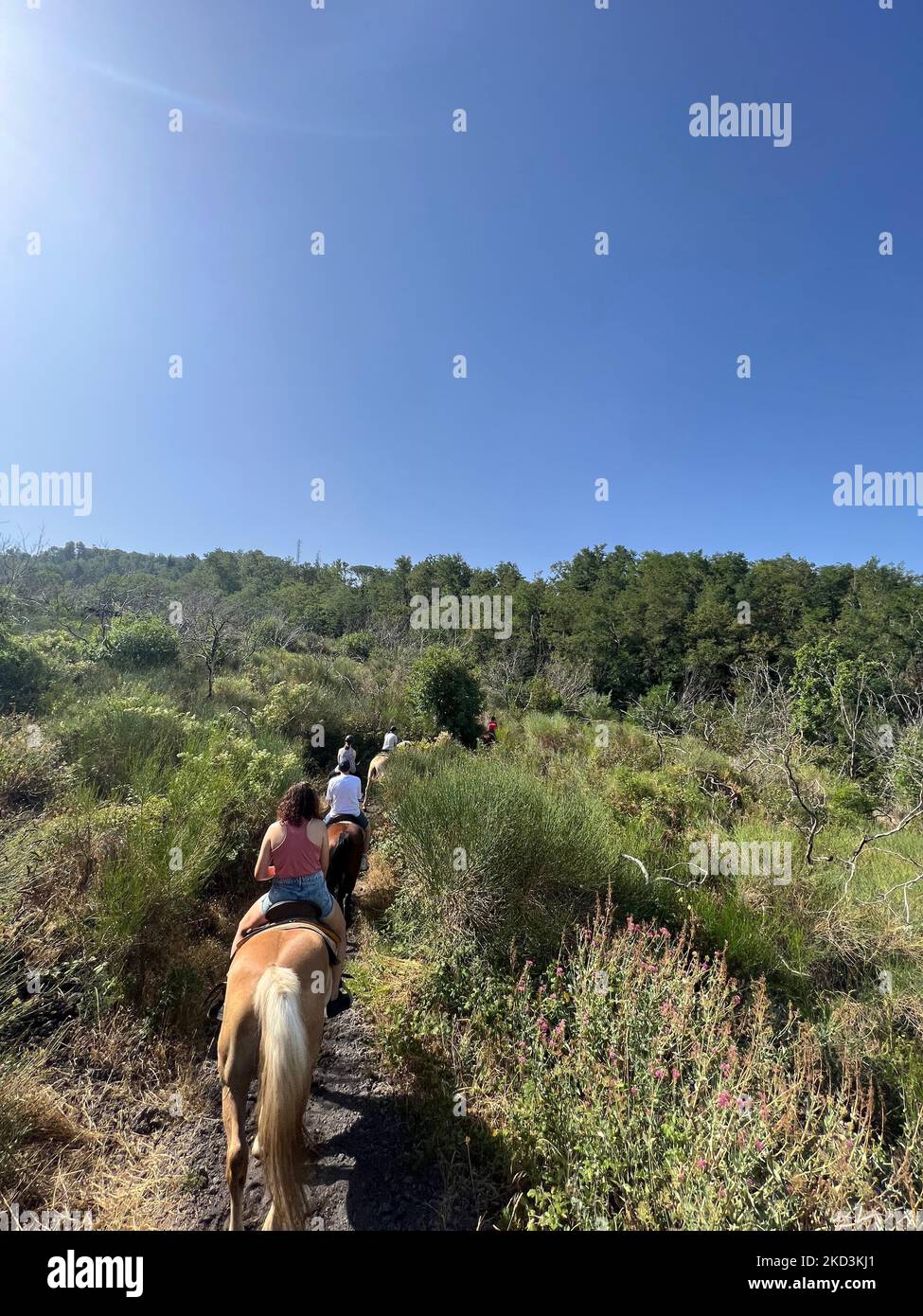 Horse Riding on Mount Vesuvius, Naples, Italy Stock Photo - Alamy