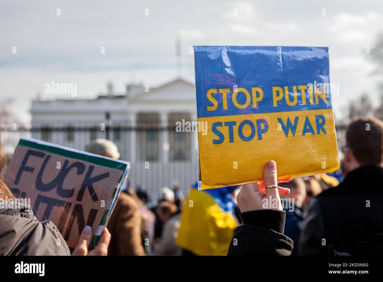 Protesters hold signs against Russian President Vladimir Putin during a rally for Ukraine at the White House. Hundreds of people gathered to demand sanctions on Russia, exclusion of Russia from SWIFT, and military assistance for Ukraine, with special emphasis on air protection. Protesters came to Washington from across the United States for the rally. (Photo by Allison Bailey/NurPhoto) Stock Photo