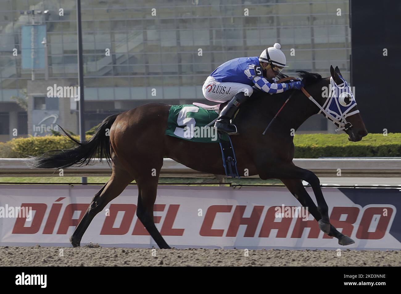 A jockey rides a horse at the Hipódromo de Las Américas in Mexico City,  where some exhibitions were held, such as floreo de reata, el gallo  enterrado, the parejeras races, the exhibition