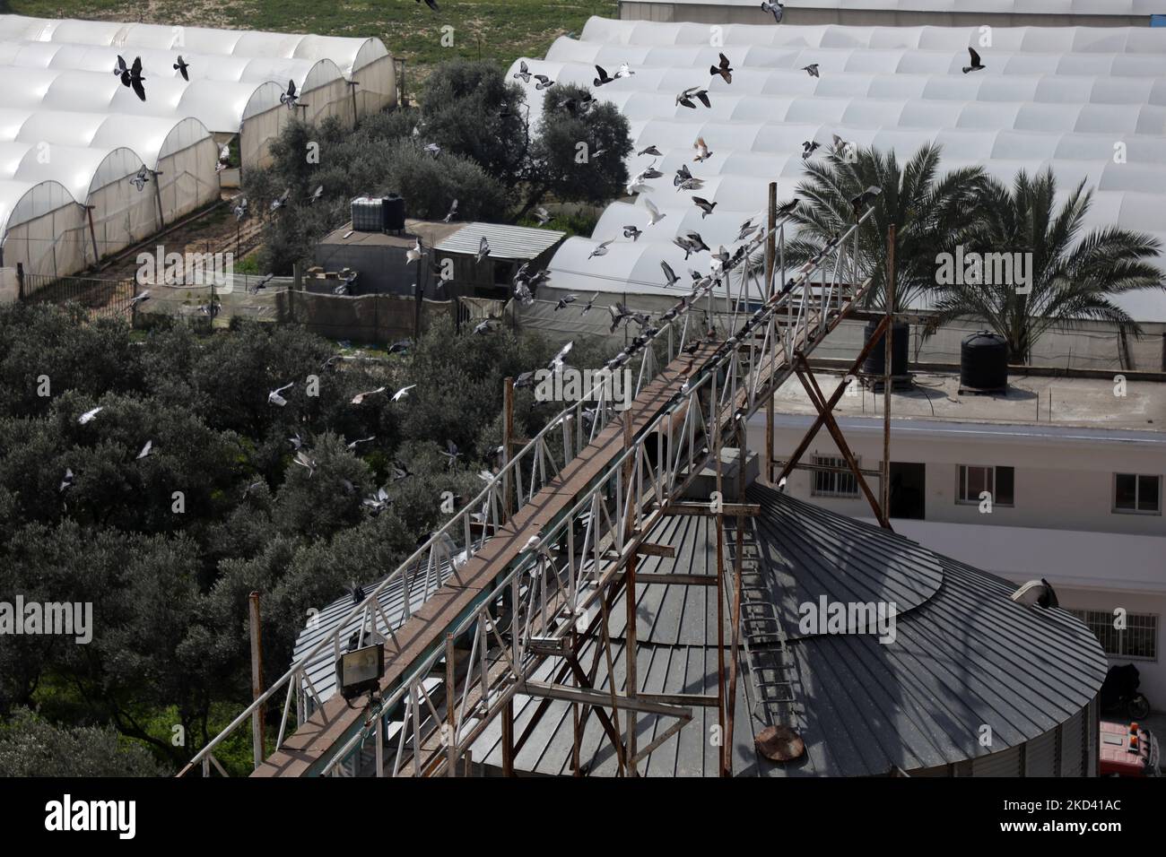 Palestine and ukraine hires stock photography and images Alamy