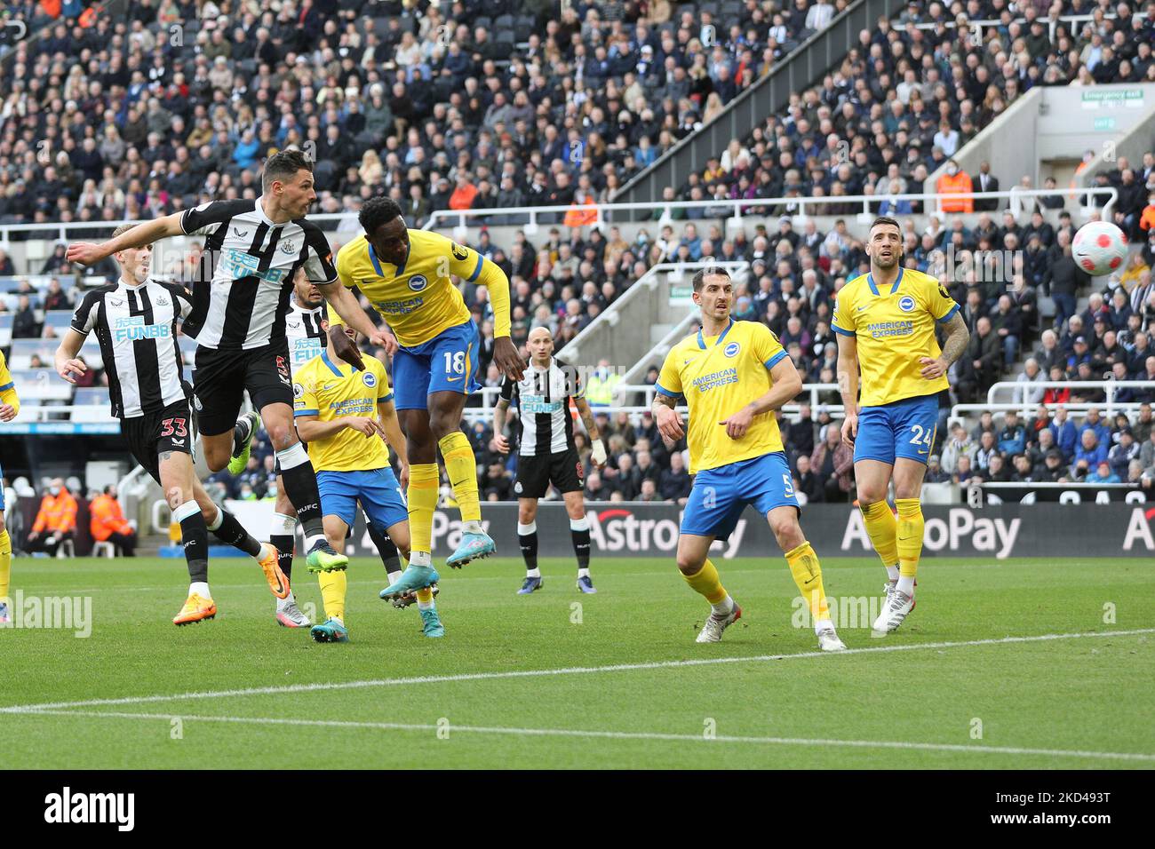 Fabian Schar of Newcastle United heads the ball to goal to make it 2-0 during the Premier League match between Newcastle United and Brighton and Hove Albion at St. James's Park, Newcastle on Saturday 5th March 2022. (Photo by Robert Smith/MI News/NurPhoto) Stock Photo