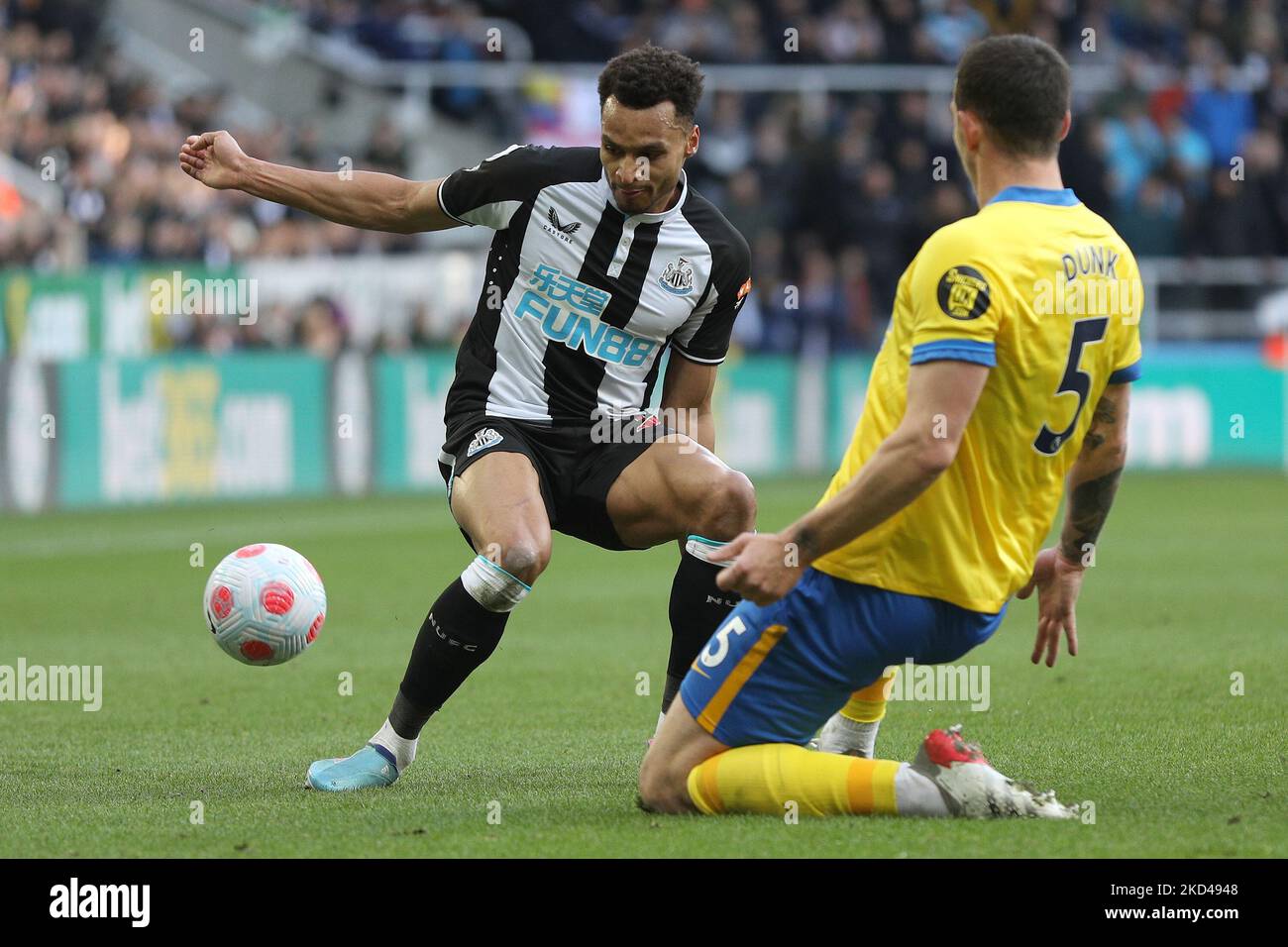 Lewis dunk shorts hires stock photography and images Alamy
